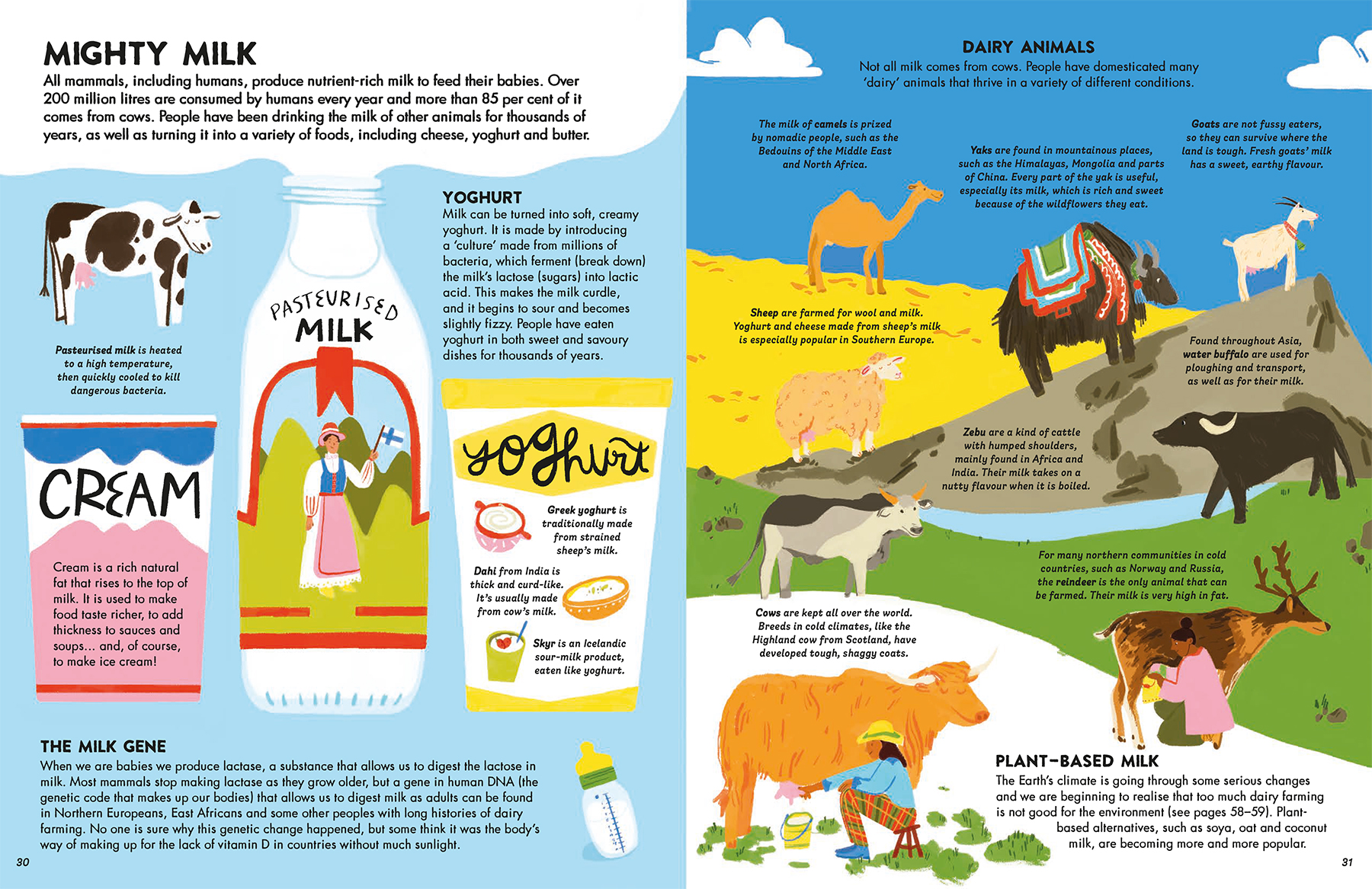 world-of-food-non-fiction-book-illustration-pasteurized-milk-cream-yoghurt-camels-sheep-yak-goat-water-buffalo-reindeer-cow-violeta-noy