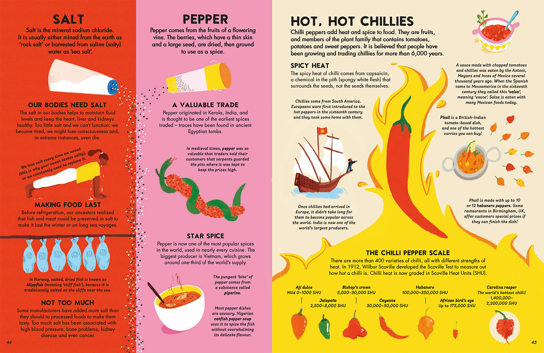 world-of-food-non-fiction-book-illustration-salt-pepper-chilies-phall-klippfisk-piperine-salsa-violeta-noy