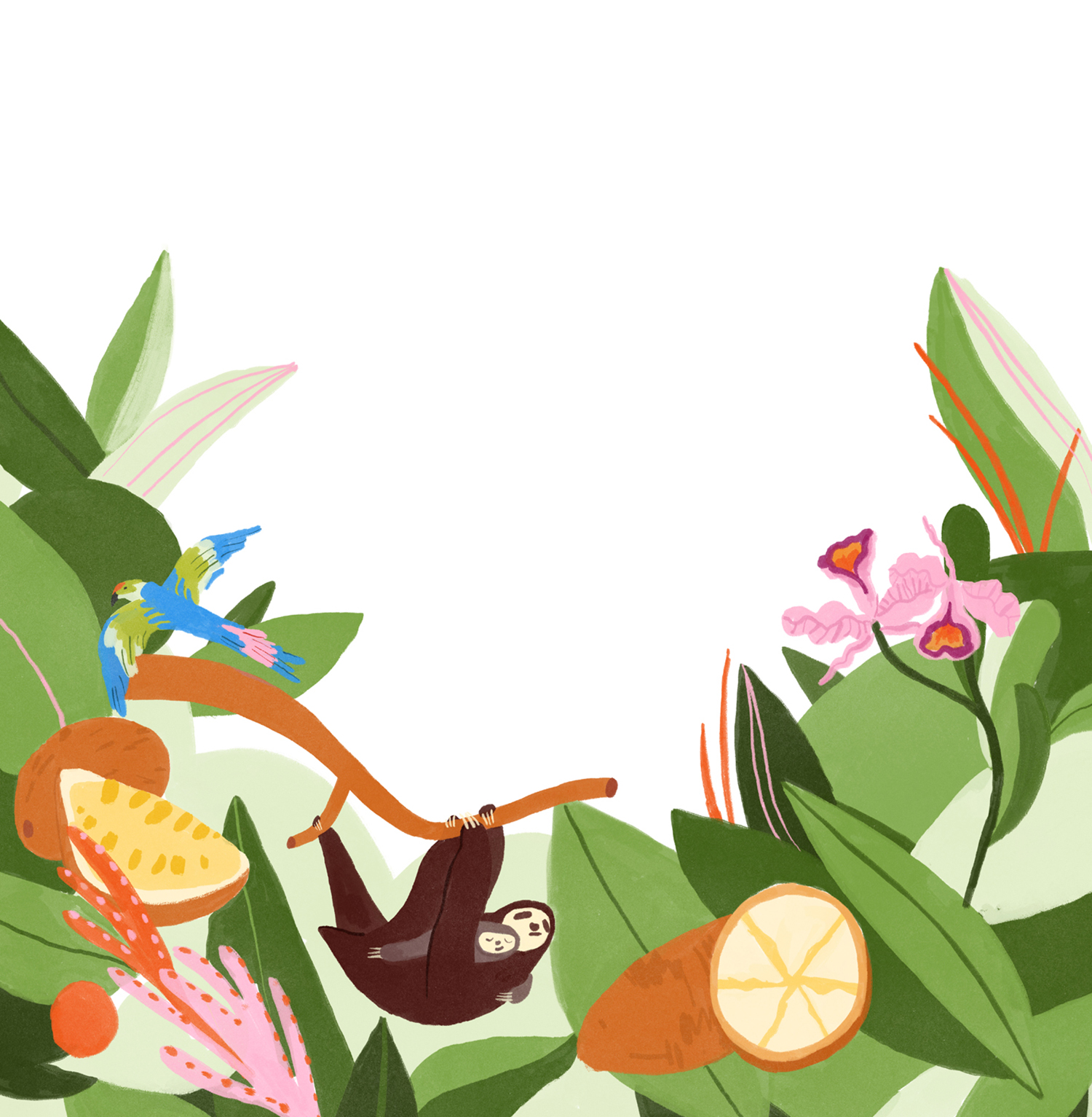 packaging-parrot-passion-fruit-foliage-flowers-eco-illustration